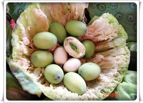 รูปสินค้า