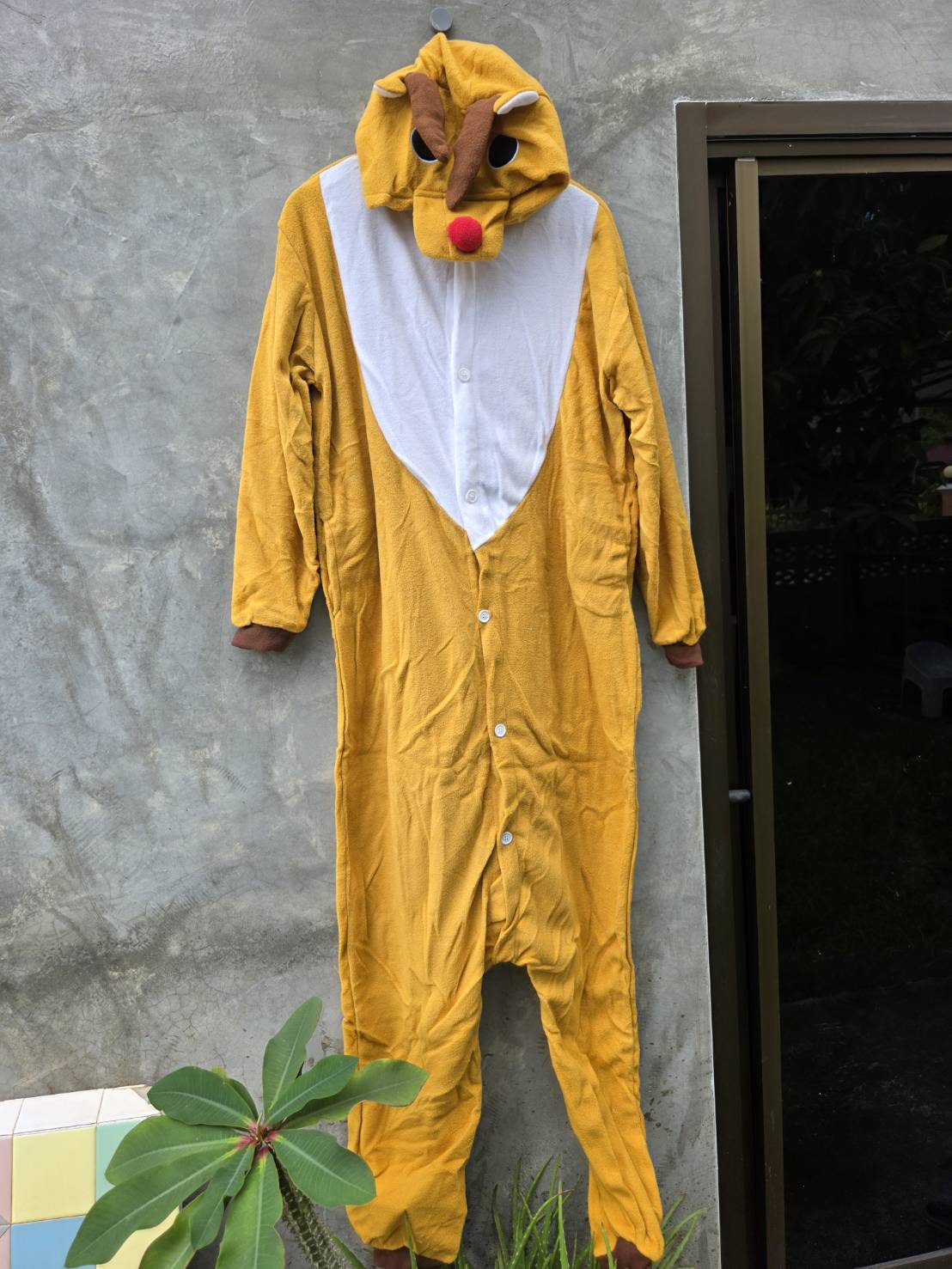 รูปสินค้า