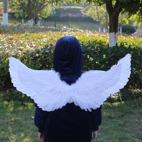 รูปสินค้า