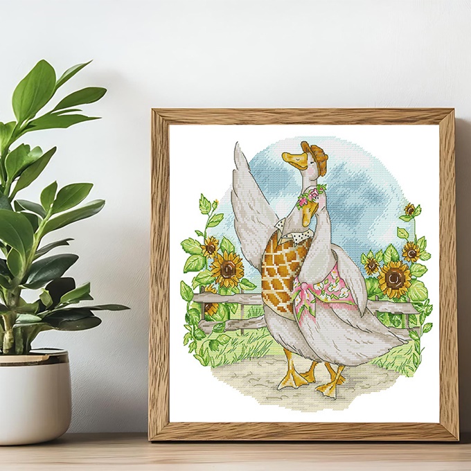 รูปสินค้า