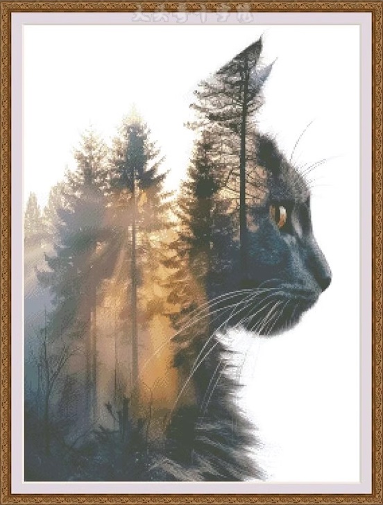 รูปสินค้า