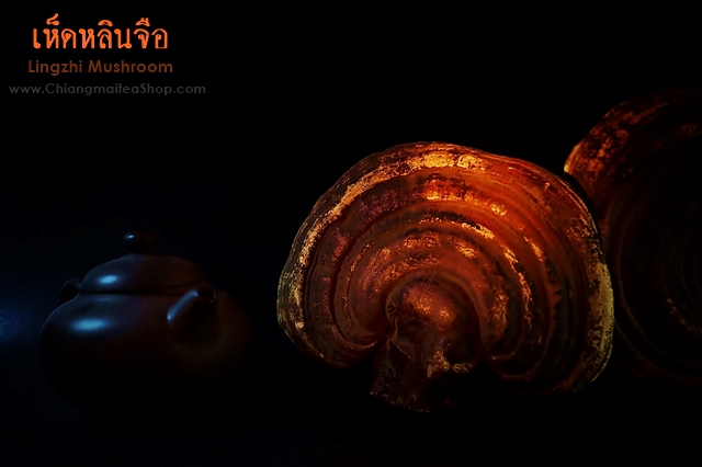 รูปสินค้า