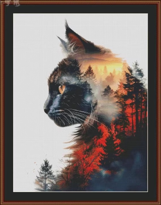 รูปสินค้า