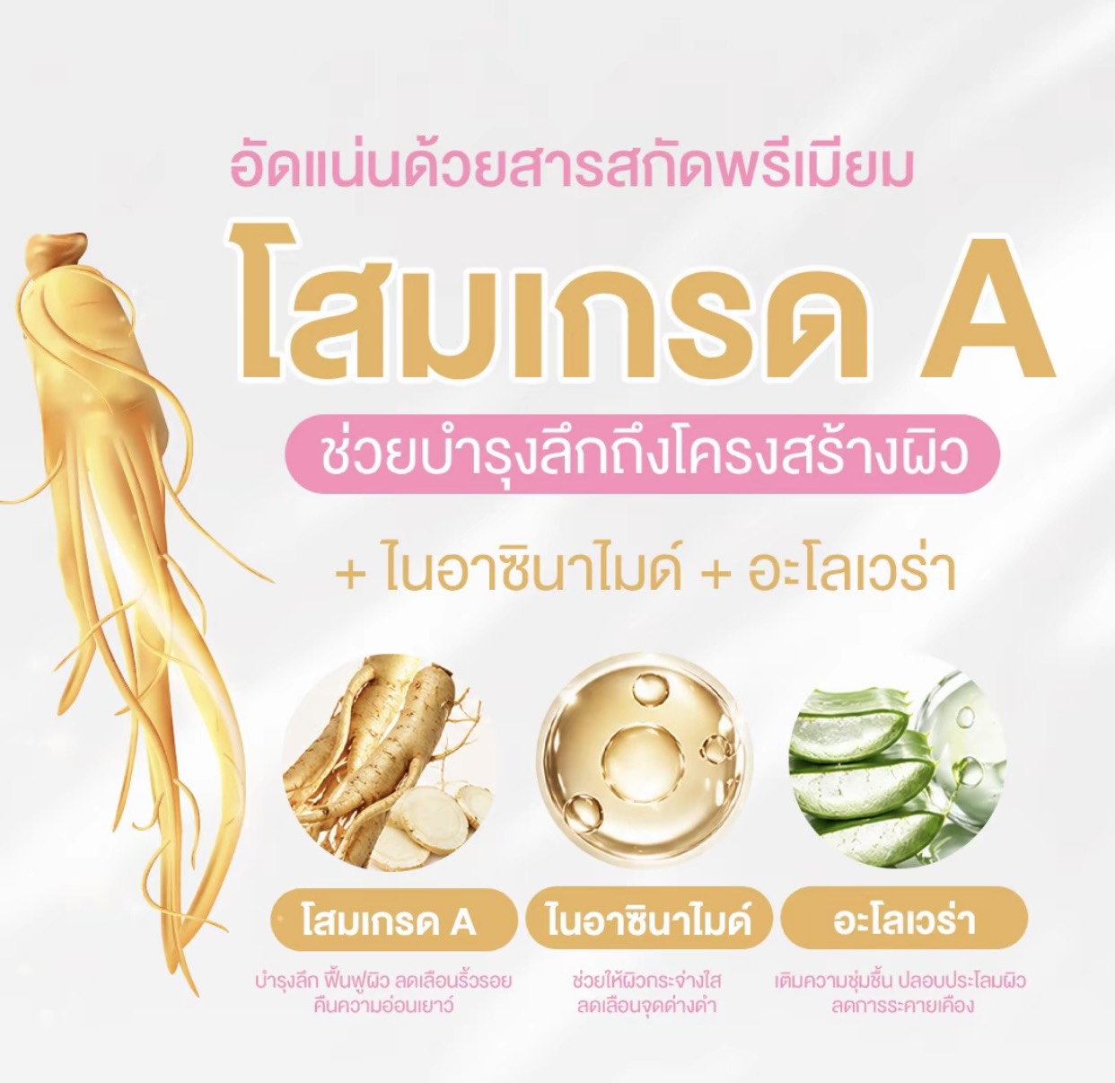 รูปสินค้า