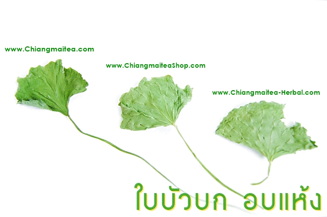 รูปสินค้า