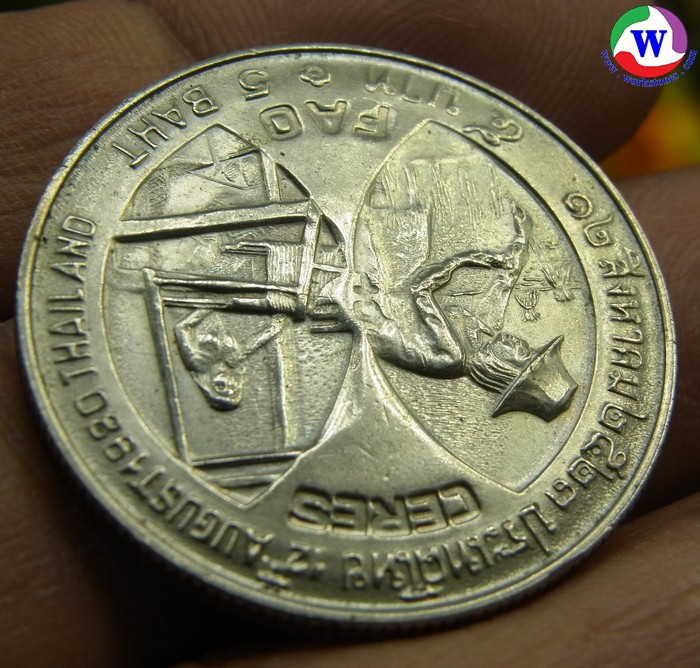 รูปสินค้า