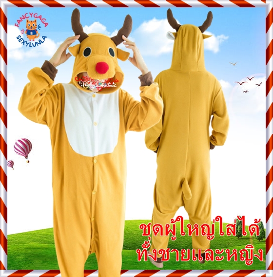 รูปสินค้า