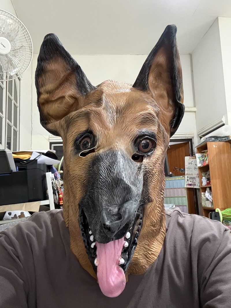 รูปสินค้า