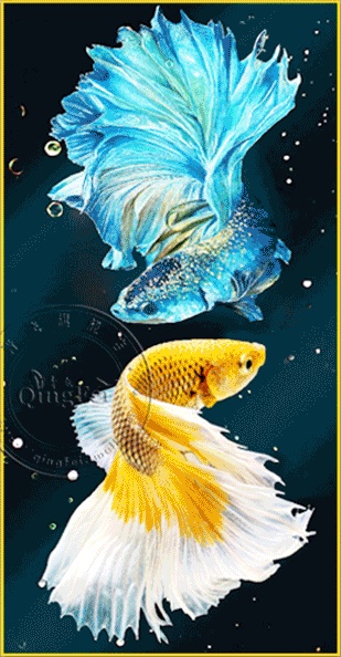 รูปสินค้า
