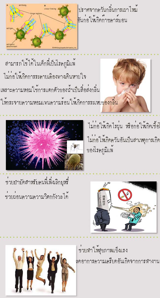 รูปสินค้า