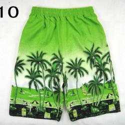 (พร้อมส่ง โทนสีเขียว) กางเกงขาสั้นผู้ชาย กางเกงเที่ยวทะเล กางเกงเล่นน้ำ กางเกงขาสั้น