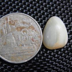หินโมคุณสีงาช้างเหลือบมุกขาวนวล 3.55 กะรัต ของหายาก จากเมืองเก่าสุโขทัย