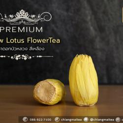 ชาดอกบัวหลวง พรีเมี่ยม (ดอกตูม) สีเหลือง (Yellow Sacred Lotus Flower Tea Premium)