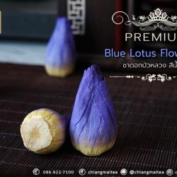 ชาดอกบัวหลวง พรีเมี่ยม (ดอกตูม) สีน้ำเงิน (Blue Sacred Lotus Flower Tea Premium)