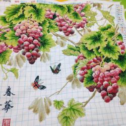 Fruitful grapes (พิมพ์ลาย)