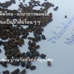ขายส่งเมล็ดชุมเห็ดไทย ไม่คั่ว 1 กิโล  เมล็ดชุมเห็ดไทย แก้อาการนอนไม่ค่อยหลับ ชาเมล็ดชุมเห็ดไทย ชาเมล็ดชุมเห็ดไทย 089-323-2395