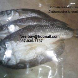 ขายปลากระบอกแดดเดียวอย่างดี สินค้าจากพังงาค่ะ ปลากระบอกทะเลเนื้อหอมอร่อย ขนาด 0.5 กก. 094-289-4246